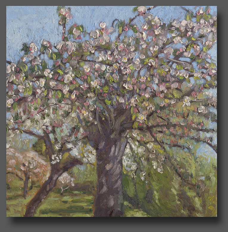 Apple blossom 40x40cm